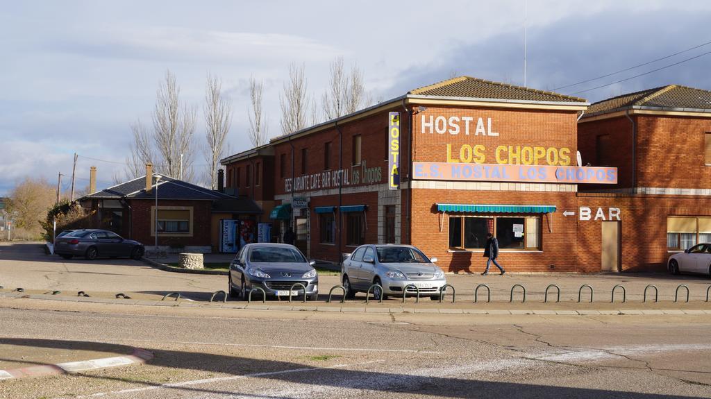 Hostal Los Chopos Osorno Exteriér fotografie